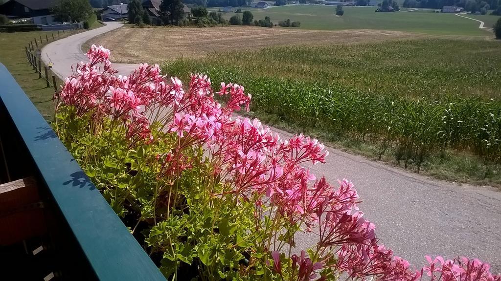Landhotel Sonnenhof Motorradkrauk Ульрихсберг Экстерьер фото